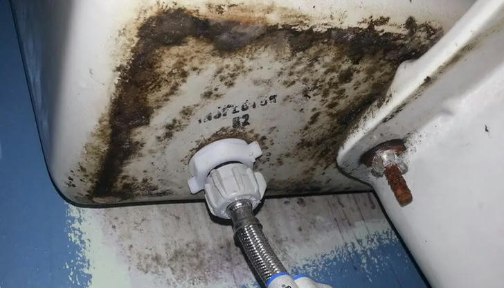 Can You Diagnose These Common Plumbing Problems at Home?