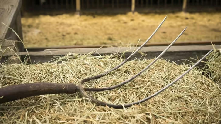 Can You Name These Essential Gardening Tools?